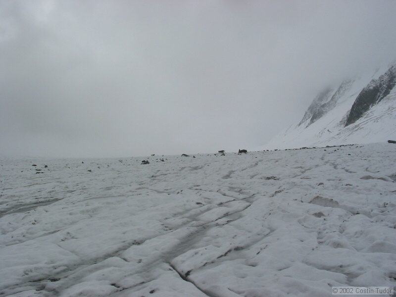 2002-08 Mt Blanc 257.jpg